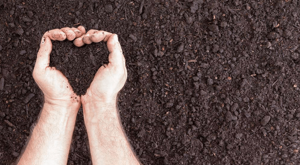 Earthing/Grounding Explained – The Ultimate Guide